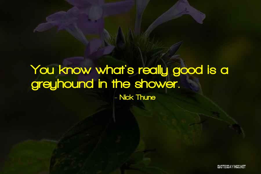 Greyhound Quotes By Nick Thune Greyhound Quotes By Nick Thune