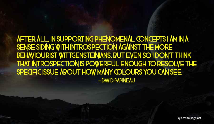 Greyly Quotes By David Papineau Greyly Quotes By David Papineau