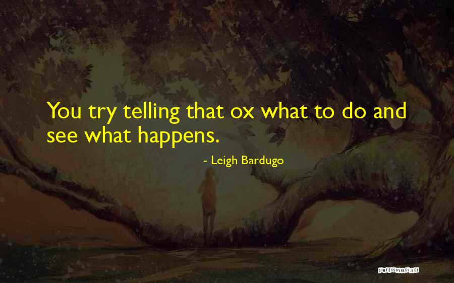 Grey's Anatomy Season 10 Episode 1 Quotes By Leigh Bardugo
