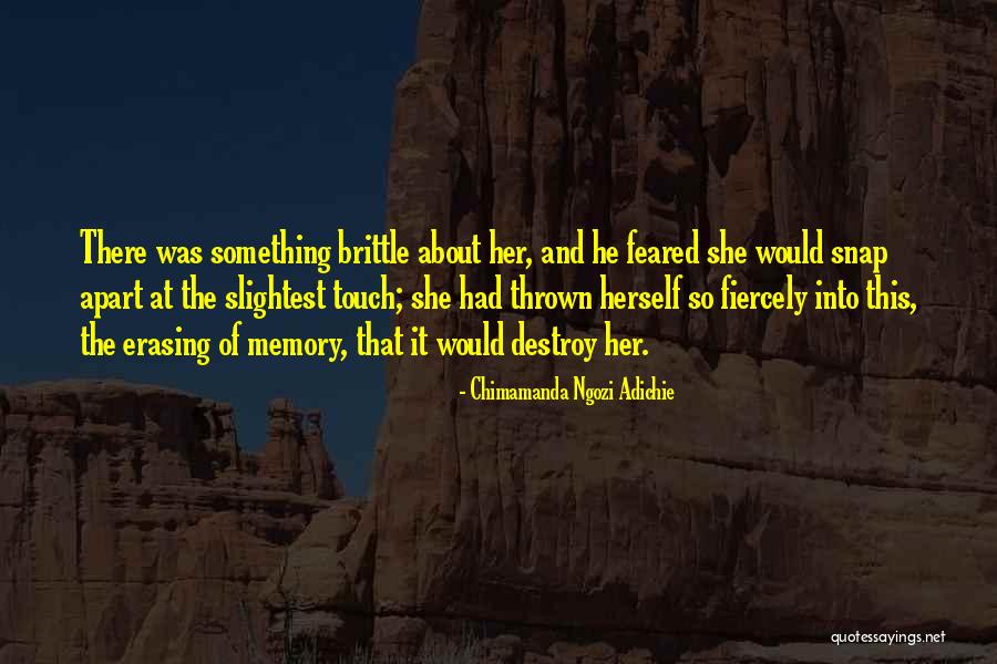 Greysons Quotes By Chimamanda Ngozi Adichie Greysons Quotes By Chimamanda Ngozi Adichie