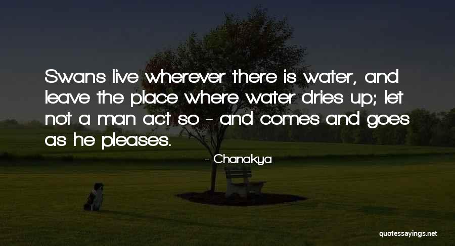 Greystar Quotes By Chanakya Greystar Quotes By Chanakya