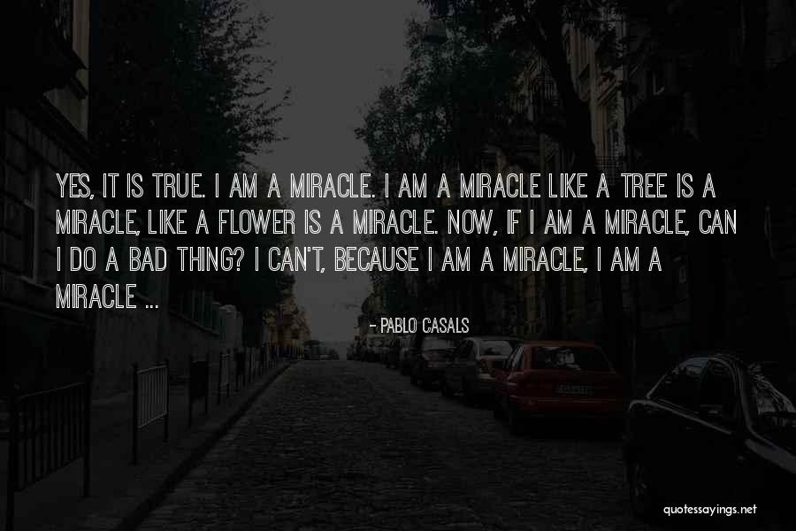 Greystones Quotes By Pablo Casals Greystones Quotes By Pablo Casals