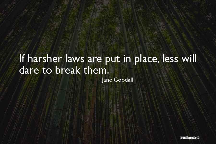 Gridded Cutting Quotes By Jane Goodall