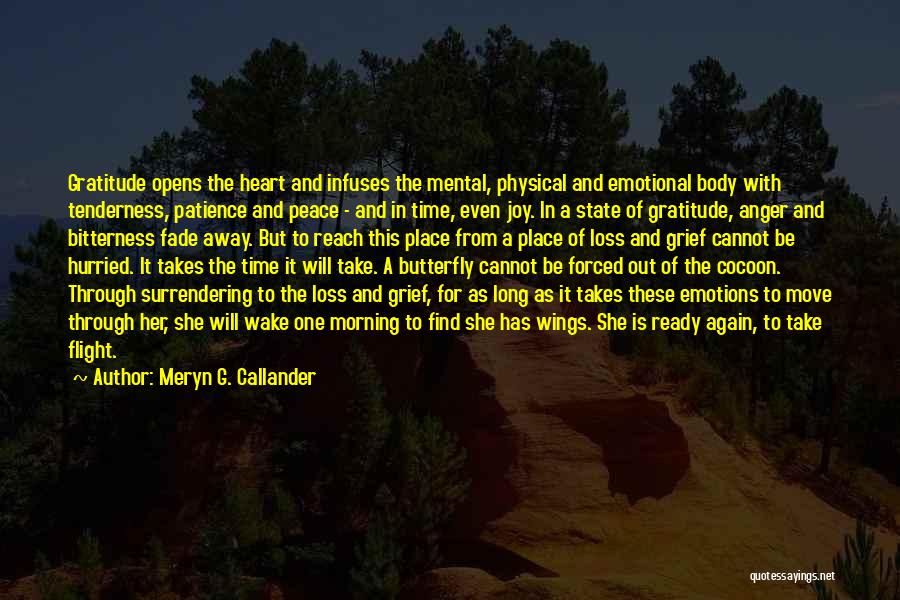 Grief And Anger Quotes By Meryn G. Callander