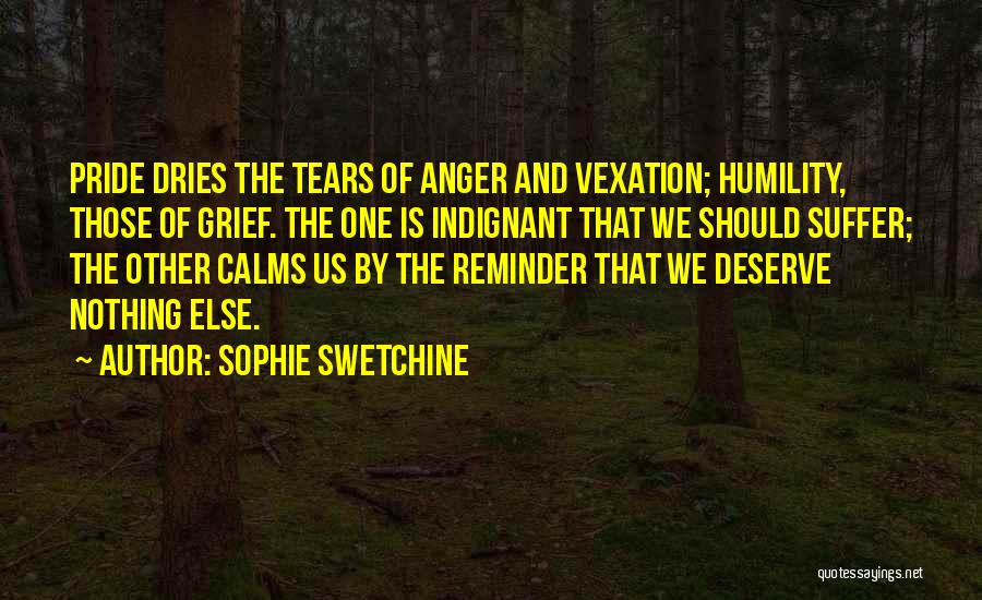 Grief And Anger Quotes By Sophie Swetchine