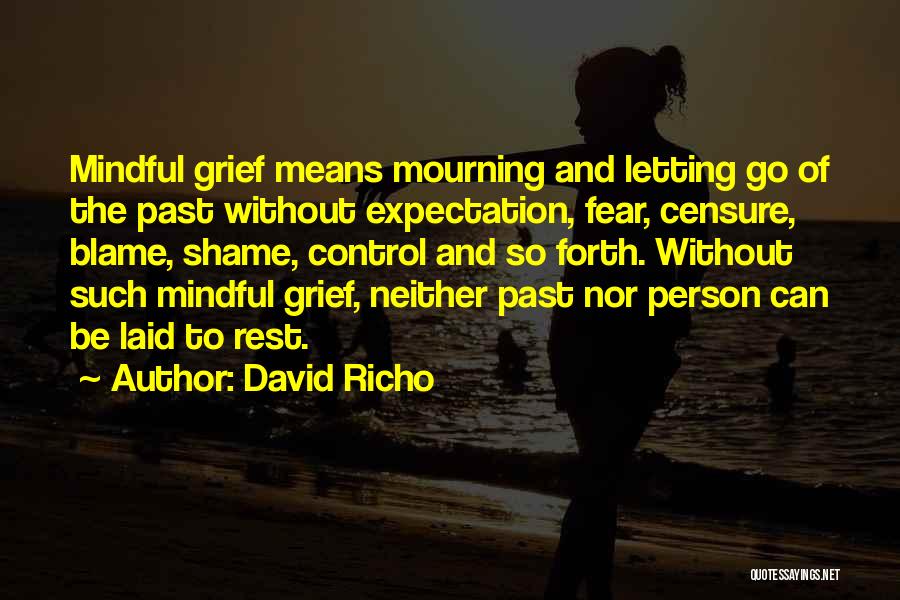 Grief And Mourning Quotes By David Richo