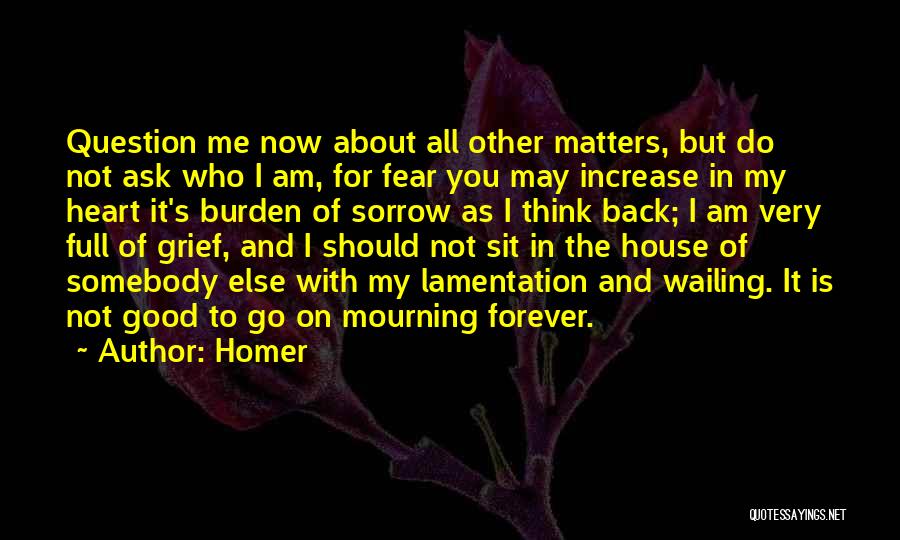 Grief And Mourning Quotes By Homer