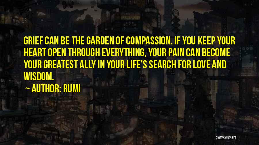 Grief And Pain Quotes By Rumi