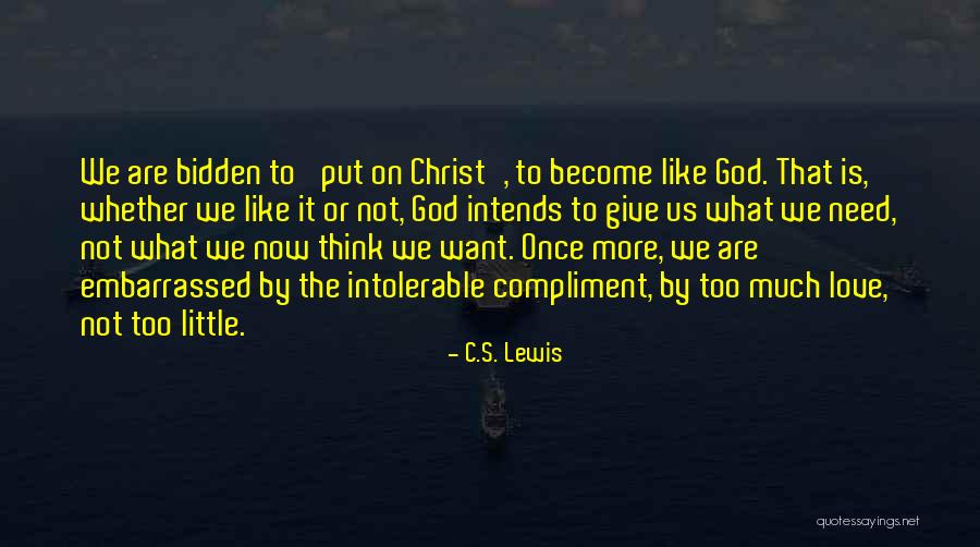 Grief Christian Quotes By C.S. Lewis