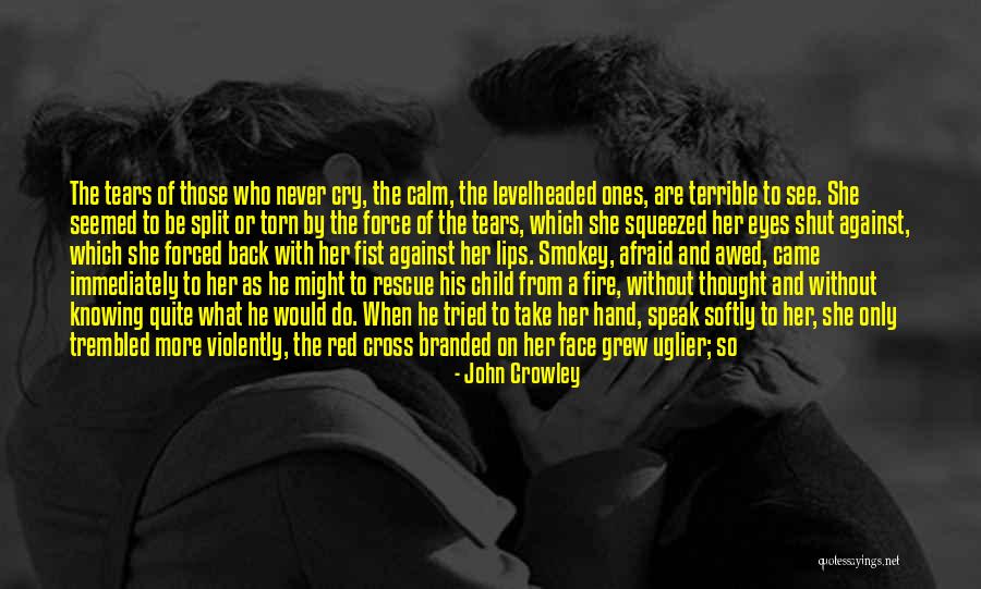 Grief Comfort Quotes By John Crowley Grief Comfort Quotes By John Crowley