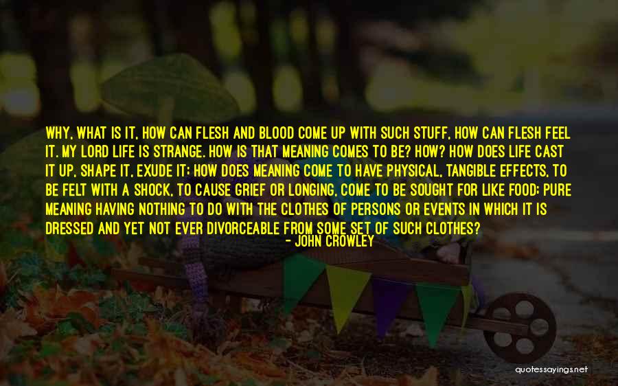 Grief Meaning Quotes By John Crowley Grief Meaning Quotes By John Crowley