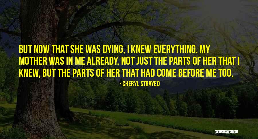 Grief Mom Quotes By Cheryl Strayed Grief Mom Quotes By Cheryl Strayed