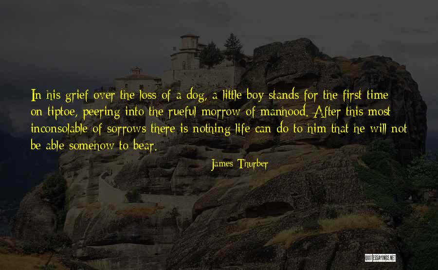 Grief Of A Dog Quotes By James Thurber Grief Of A Dog Quotes By James Thurber