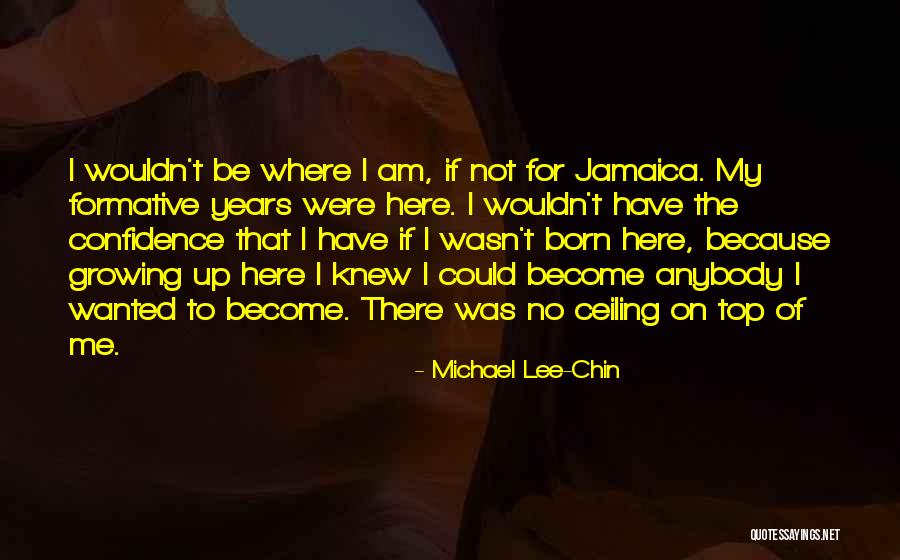 Grieferwert Quotes By Michael Lee-Chin Grieferwert Quotes By Michael Lee-Chin