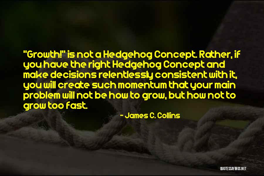 Griet Vis Quotes By James C. Collins Griet Vis Quotes By James C. Collins