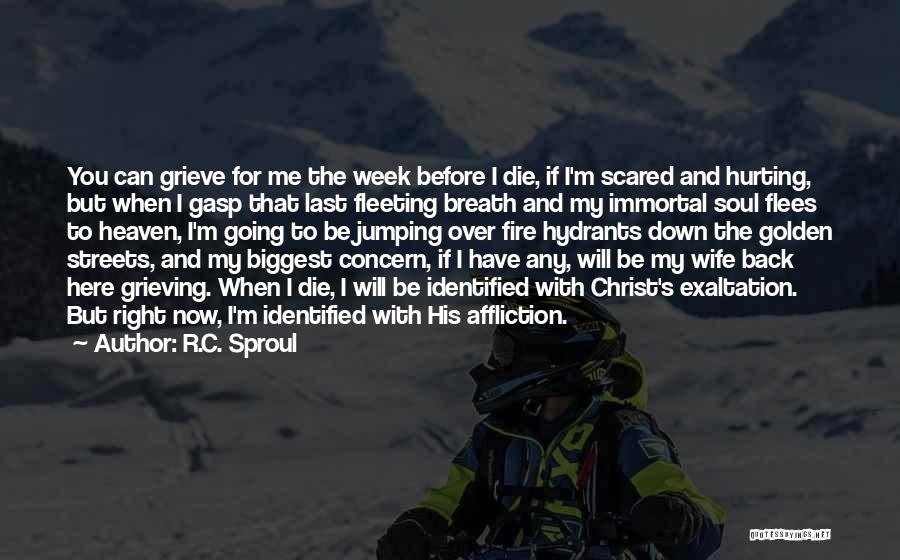 Grieving Over Death Quotes By R.C. Sproul