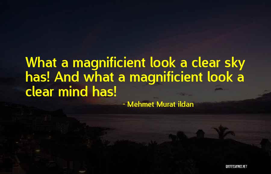 Grifters Mc Quotes By Mehmet Murat Ildan Grifters Mc Quotes By Mehmet Murat Ildan