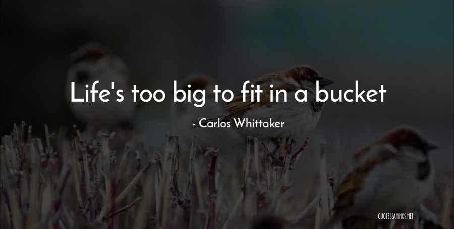 Grijalba Quotes By Carlos Whittaker Grijalba Quotes By Carlos Whittaker