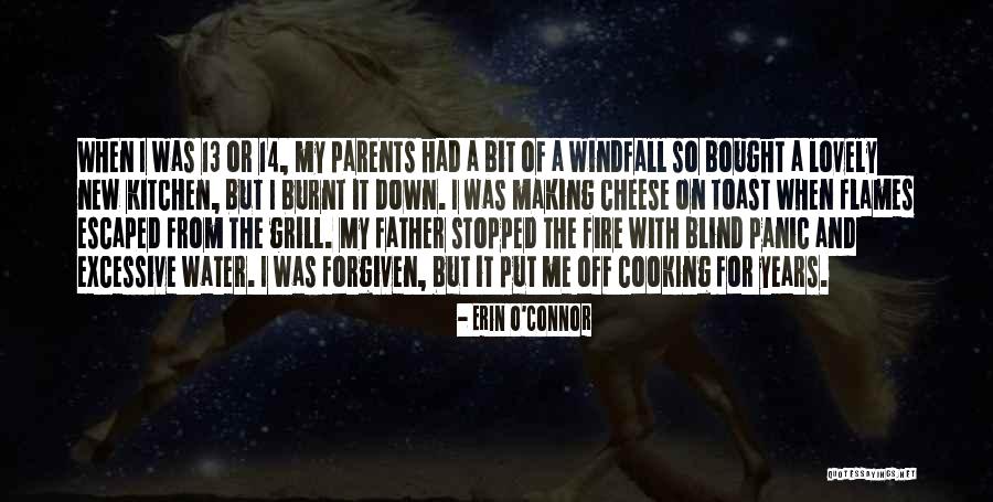 Grill Quotes By Erin O'Connor Grill Quotes By Erin O'Connor