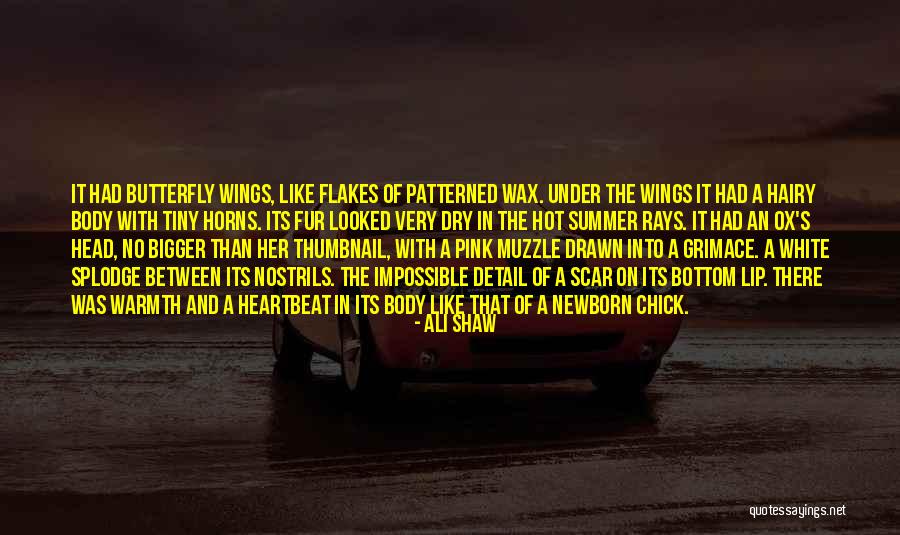 Grimace Quotes By Ali Shaw Grimace Quotes By Ali Shaw