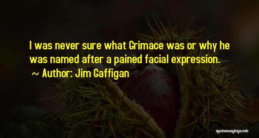 Grimace Quotes By Jim Gaffigan