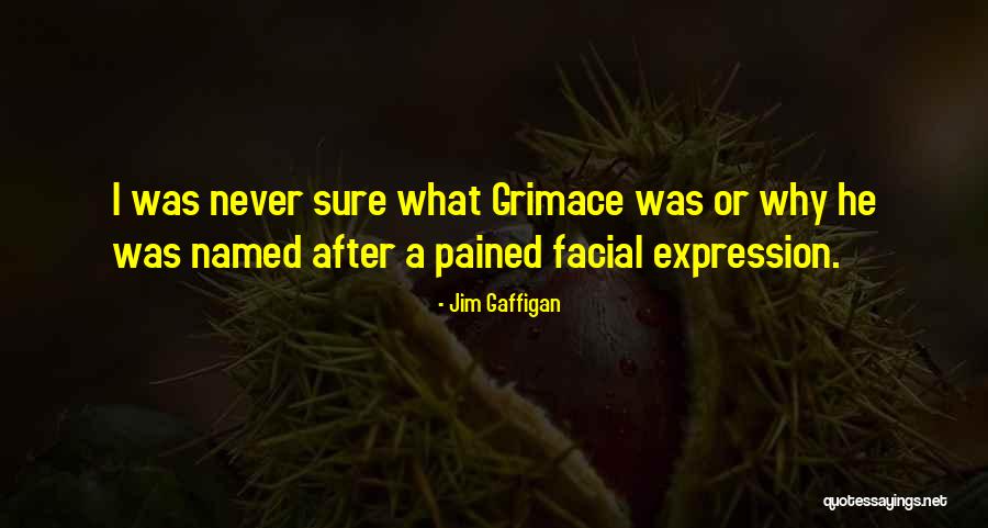 Grimace Quotes By Jim Gaffigan