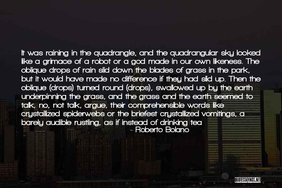 Grimace Quotes By Roberto Bolano Grimace Quotes By Roberto Bolano
