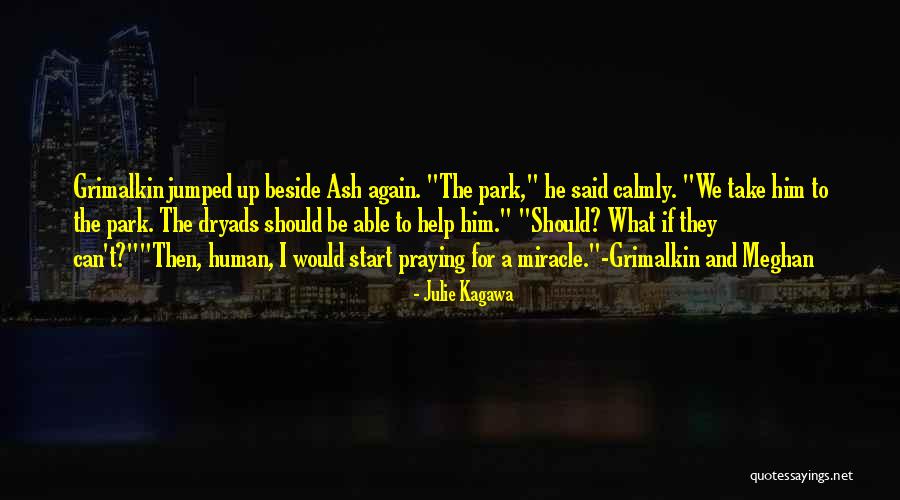 Grimalkin Quotes By Julie Kagawa Grimalkin Quotes By Julie Kagawa