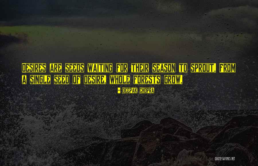 Grimanesa Talavera Quotes By Deepak Chopra Grimanesa Talavera Quotes By Deepak Chopra