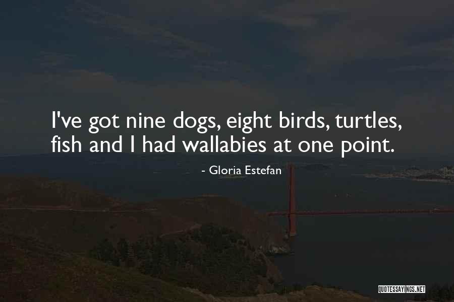 Grimwood Hardscape Quotes By Gloria Estefan Grimwood Hardscape Quotes By Gloria Estefan