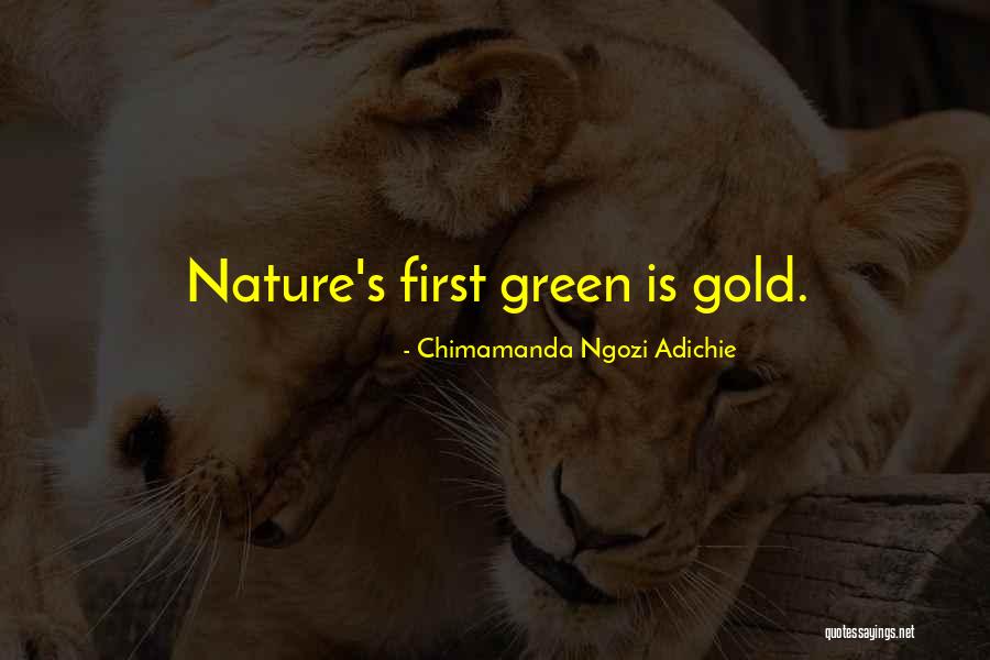 Grind Or Starve Quotes By Chimamanda Ngozi Adichie Grind Or Starve Quotes By Chimamanda Ngozi Adichie