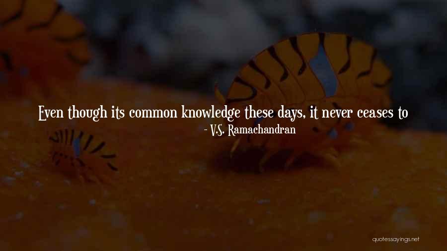 Grinspan Syndrome Quotes By V.S. Ramachandran Grinspan Syndrome Quotes By V.S. Ramachandran