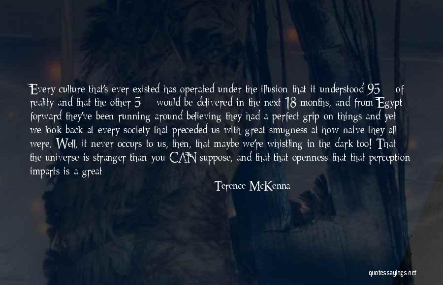 Grip On Reality Quotes By Terence McKenna Grip On Reality Quotes By Terence McKenna
