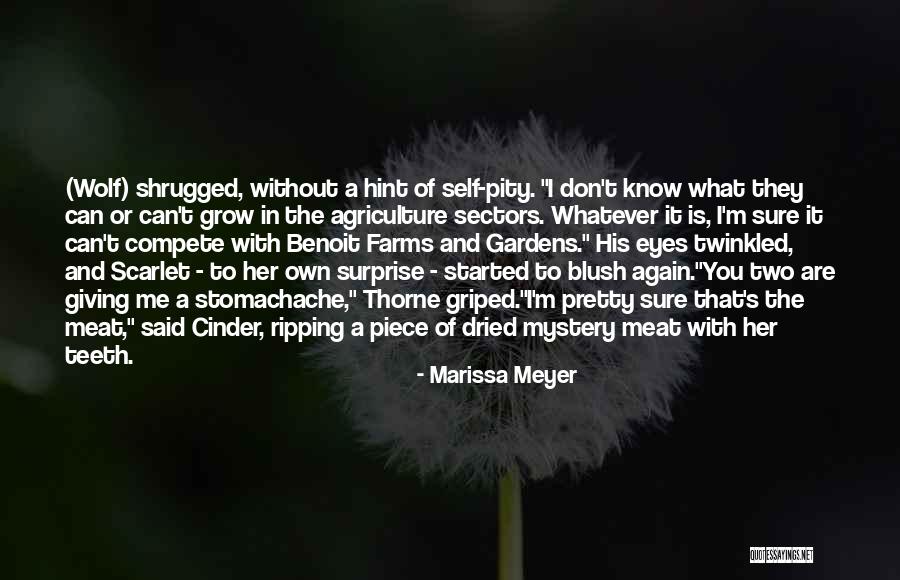 Griped Out Quotes By Marissa Meyer Griped Out Quotes By Marissa Meyer