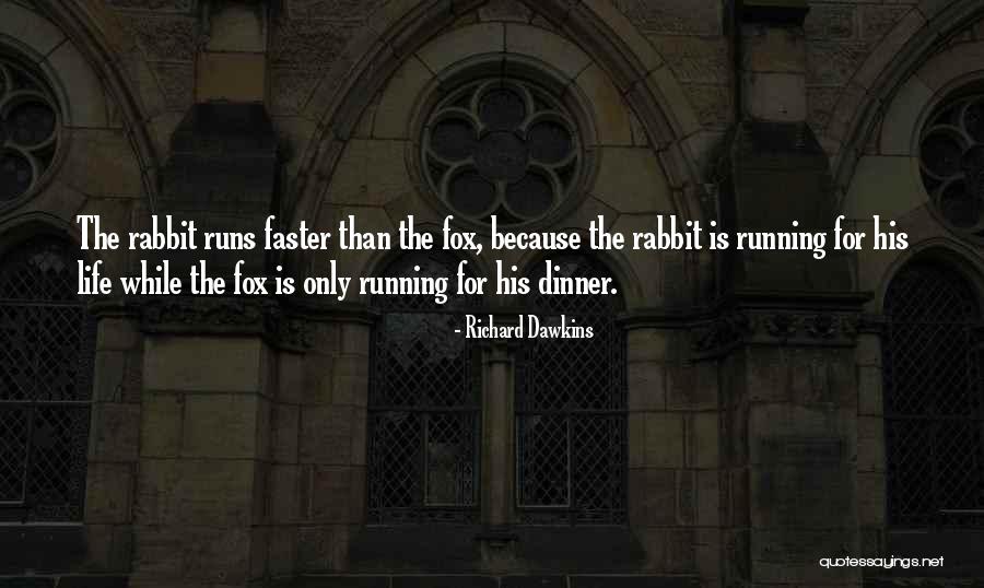 Grisales Consulting Quotes By Richard Dawkins Grisales Consulting Quotes By Richard Dawkins