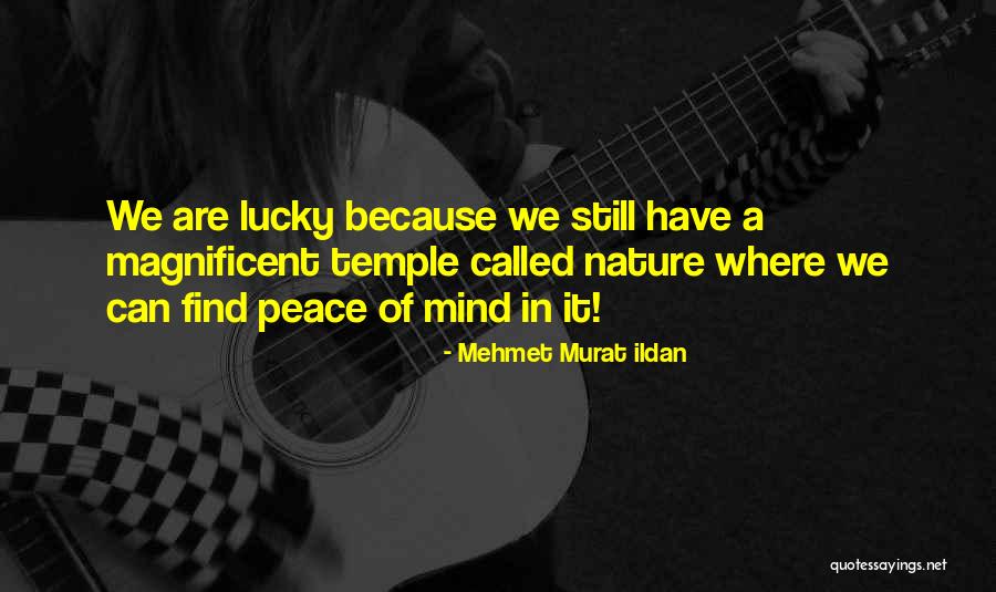 Grisolan Quotes By Mehmet Murat Ildan Grisolan Quotes By Mehmet Murat Ildan