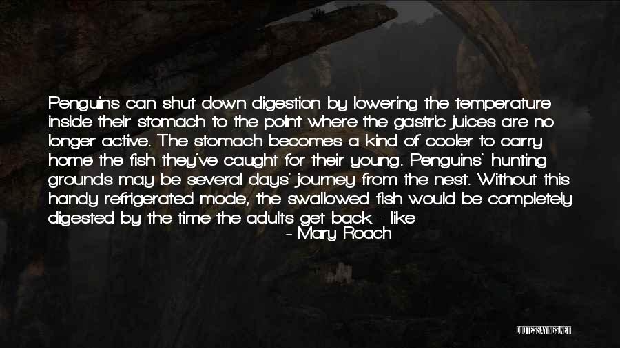 Grivel Quotes By Mary Roach Grivel Quotes By Mary Roach