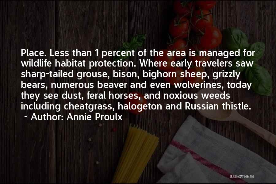 Grizzly Quotes By Annie Proulx