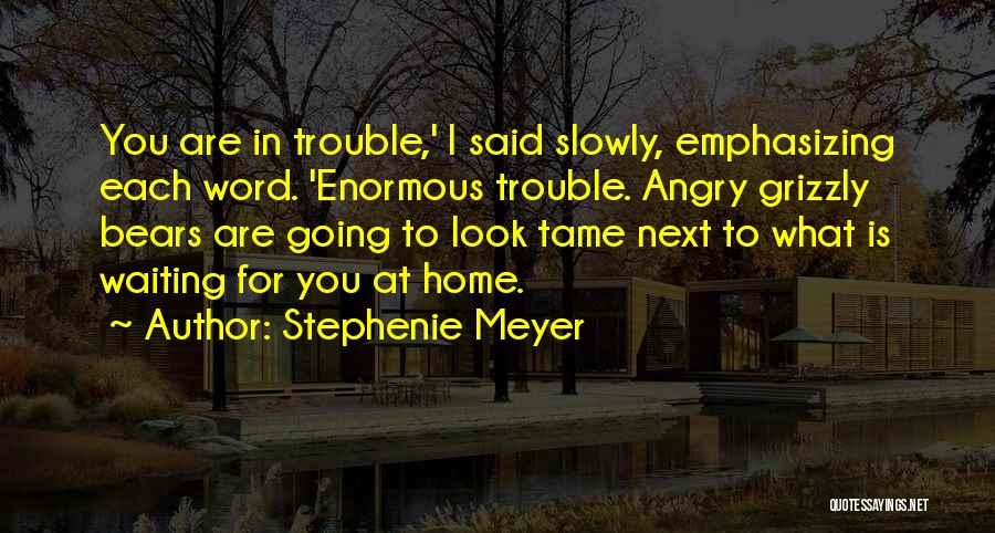 Grizzly Quotes By Stephenie Meyer