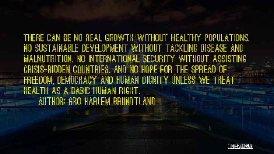 Gro Harlem Brundtland Quotes 1388611