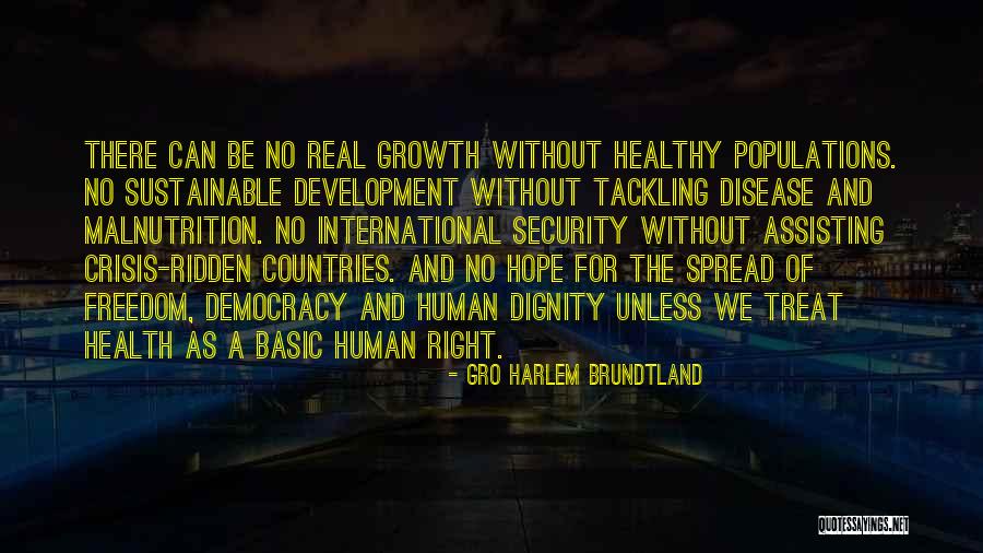 Gro Harlem Brundtland Quotes 1388611