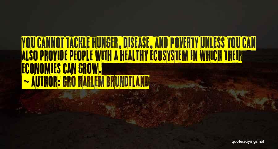 Gro Harlem Brundtland Quotes 1647135