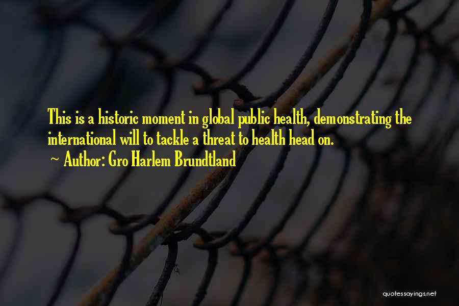 Gro Harlem Brundtland Quotes 726067