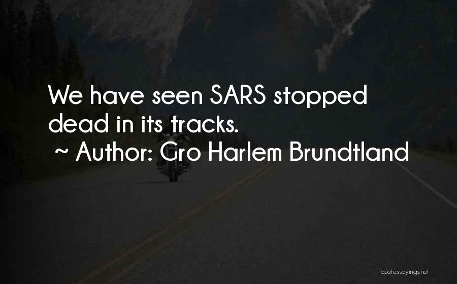 Gro Harlem Brundtland Quotes 959588