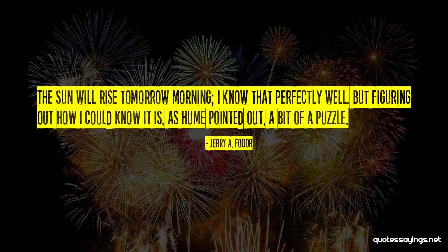 Groaner Memes Quotes By Jerry A. Fodor Groaner Memes Quotes By Jerry A. Fodor