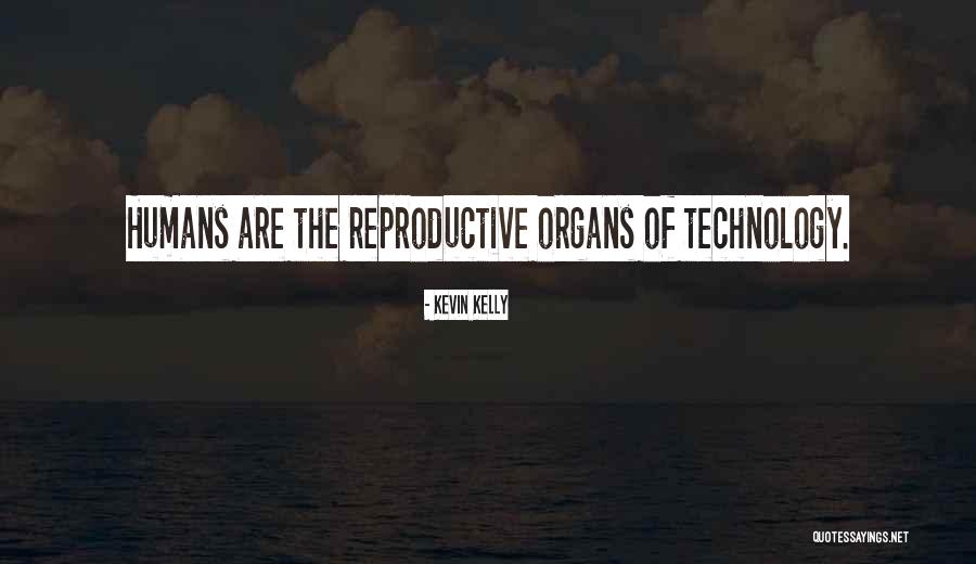 Grobinas Veterinara Klinika Quotes By Kevin Kelly Grobinas Veterinara Klinika Quotes By Kevin Kelly