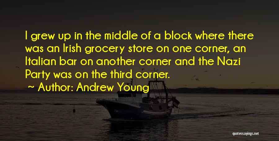 Grocery Store Quotes By Andrew Young