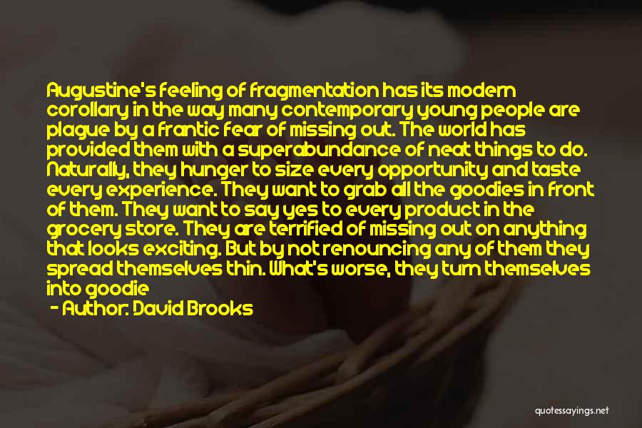 Grocery Store Quotes By David Brooks