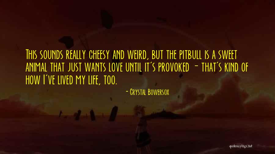 Grodzinski Bakery Quotes By Crystal Bowersox Grodzinski Bakery Quotes By Crystal Bowersox