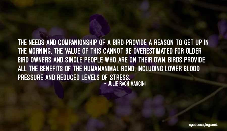 Groenendaal Merksem Quotes By Julie Rach Mancini Groenendaal Merksem Quotes By Julie Rach Mancini